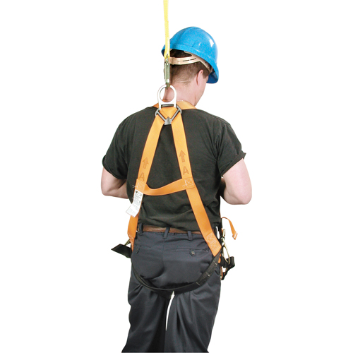 Harnais d'entrepreneur Titan de Miller, Certifi&eacute;e CSA, Classe AP, Cap. 400 lb Consource