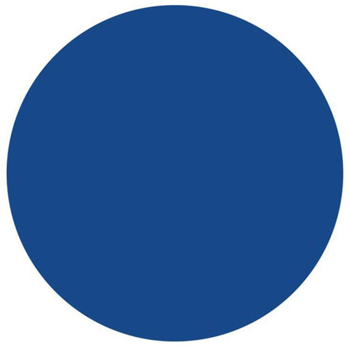 &eacute;tiquettes rondes inscriptibles, Cercle, 1,5" lo x 1,5" la, Bleu Consource