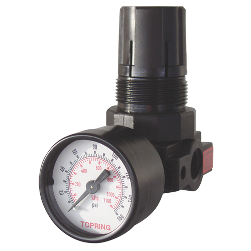 Mini Regulators, 1/4" NPT, 165 PSI Max. PSI, Modular Consource