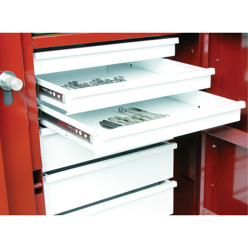 &eacute;tabli roulant, 49-7/8" la x 40-5/8" h x 26-7/8" p, Capacit&eacute; de 24,6 pi³ Consource