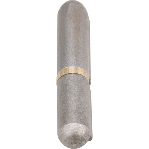 Weld-On Hinge, 0.315" Dia. x 1.575" L, Mild Steel w/Fixed Steel Pin Consource