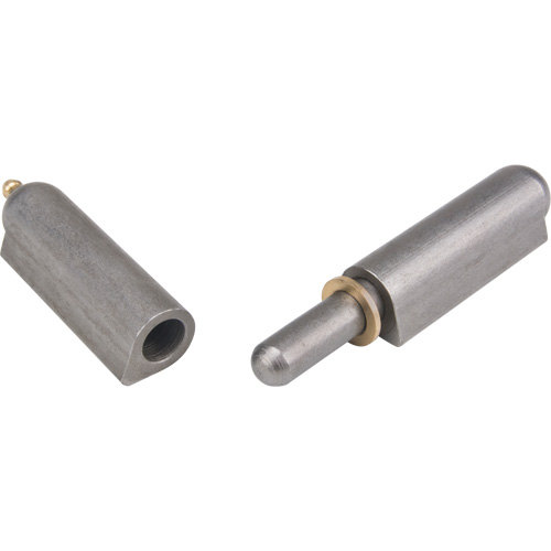 Weld-On Hinge, 0.787" Dia. x 5.906" L, Mild Steel w/Fixed Steel Pin Consource