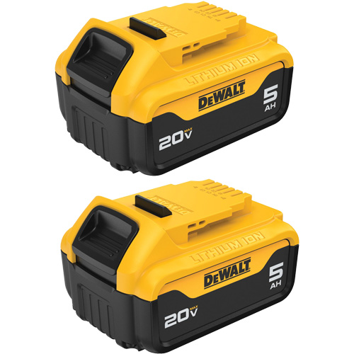 Bloc-piles Max XR Premium, Lithium-ion, 20 V, 5 A Consource