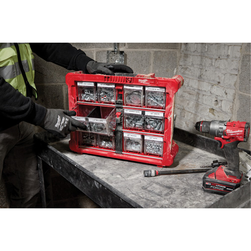 PACKOUT Tilt Bin Organizer, 15-1/5" x 19-7/10" x 6-7/10", Black/Red Consource