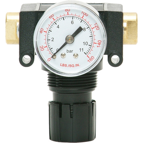 MODULAIR 200 Acetal Piston Regulator, 1/4" NPT, 150 PSI Max. PSI, In Line/Modular Consource