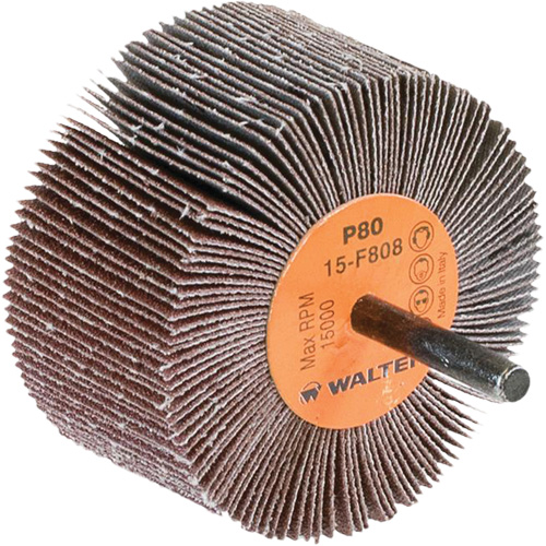 Disques &agrave; lamelles - Meules &agrave; lamelles Coolcut, Oxyde d'aluminium, Grain 80, 3" x 1-1/2" x 1/4" Consource