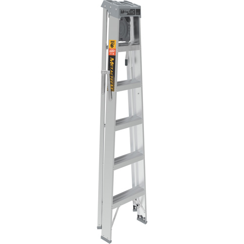 Step Ladder with Paint Tray, 6', Aluminum, 225 lbs. Capacity, Type 2 Consource