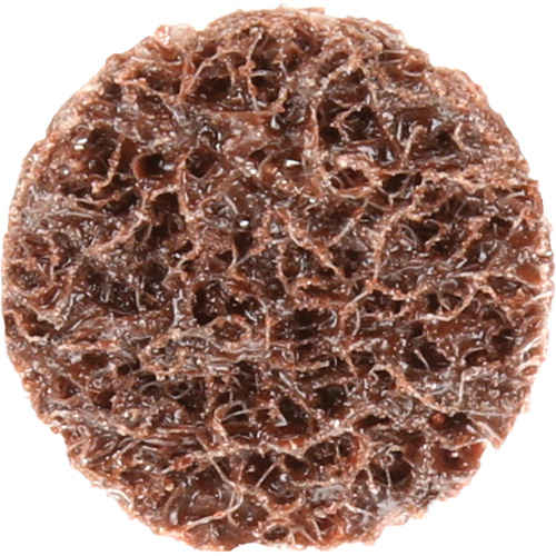 Disque de conditionnement de surface &agrave; remplacement rapide Standard Abrasives, 3/4" dia., Grain Cors&eacute;, Oxyde d'aluminium Consource