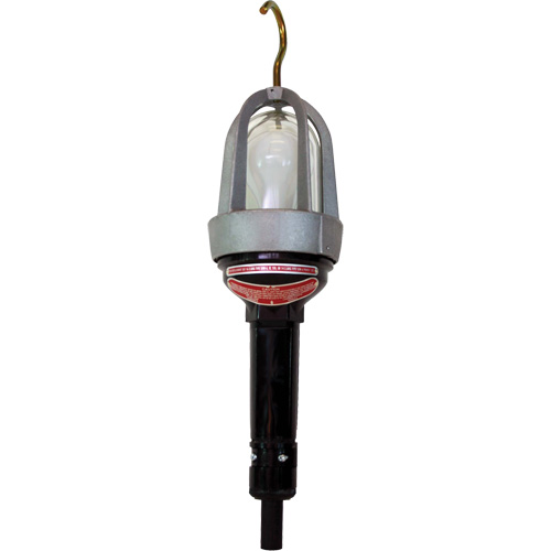 Hazardous Location Handlamp Consource