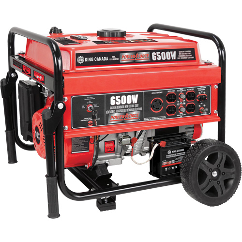 Electric Start Gas Generator with Wheel Kit, 6500 W Surge, 5000 W Rated, 120 V/240 V, 20 L Tank Consource