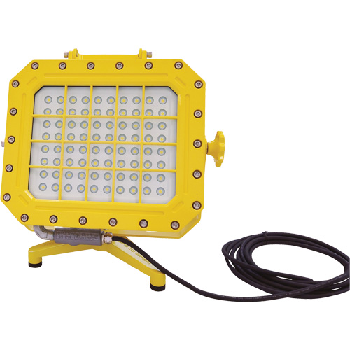 Explosion Proof Floodlight with Floor Stand, LED, 40 W, 5600 Lumens, Aluminum Housing Consource