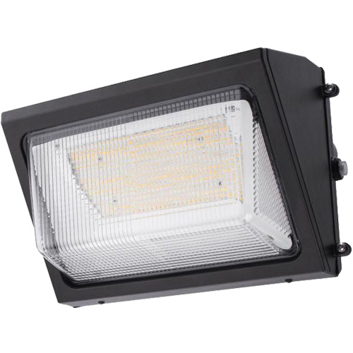 Wall Pack Light Fixture, LED, 120 -347 V, 80 W Consource