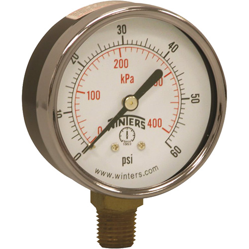 Economy Pressure Gauge, 2-1/2" , 0 - 60 psi, Bottom Mount, Analogue Consource