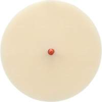 Scotch-Brite Moulding Adhesive and Stripe Removal Disc 7502, 6" Dia. Consource