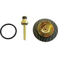 Filter/Regulator - Relieving Diaphragm & Valve Assembly Consource