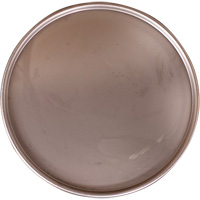 Steel Drum Lid Consource