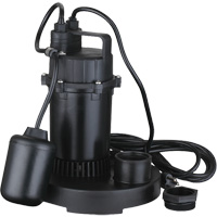 Thermoplastic Submersible Sump Pump, 2560 GPH, 115 V, 4.6 A, 1/3 HP Consource