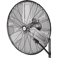 Oscillating Wall Fan, Industrial, 2 Speed, 30" Diameter Consource
