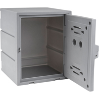 Locker, 15" x 15" x 18", Grey, Assembled Consource