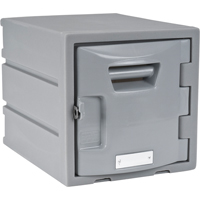 Locker, 12" x 15" x 12", Grey, Assembled Consource