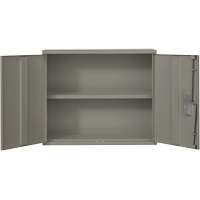 Armoire murale, Acier, 2 Tablettes, 30" h x 36" la x 12" P, Gris Consource