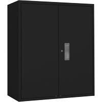 Armoire de rangement Lo-Boy, Acier, 2 Tablettes, 42" h x 36" la x 18" P, Noir Consource