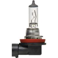 Ampoule de base pour feu avant H8, Halog&egrave;ne, 35 W, Blanc cass&eacute; Consource