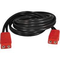 C&acirc;ble &agrave; fiche double, 4 AWG, C&acirc;ble 12' Consource
