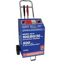 International Fleet & Commercial 220V Fast Battery Charger Consource