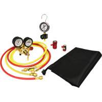 Ensemble pour test de fuite dazote pour climatisation automobile avec r&eacute;gulateur Consource