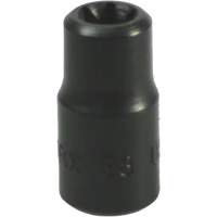 E-8 Torx&reg; Socket Consource