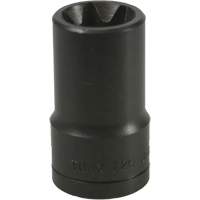 E-20 Torx&reg; Socket Consource