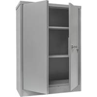 Armoire de rangement &agrave; hauteur de comptoir, Acier, 2 Tablettes, 42" h x 30" la x 15" P, Gris Consource