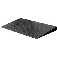 VN Series Economical Floor Scales - Ramp Consource