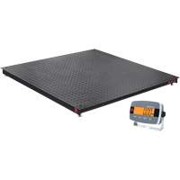 Balance de plancher DEFENDER 3000, Capacit&eacute; de 2500 lb, 48" la x 48" lo Consource