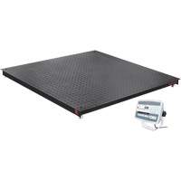 Balance de plancher DEFENDER 5000, Capacit&eacute; de 5000 lb, 48" la x 48" lo Consource