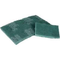 Scrubber Pad, 3" L x 4-1/2" W Consource