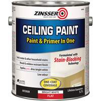 Ceiling Paint & Primer in One, White, Very Flat, 3.78 L, Gallon Consource