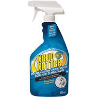 Vaporisateur contre les moisissures, 650 ml, Bouteille &agrave; g&acirc;chette Consource