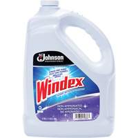 Nettoyant multi-surface non ammoniac&eacute; de Windex, 3,8 L, Cruche Consource