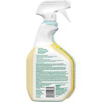Nettoyant tout usage CloroxPro Clorox EcoClean, 946 ml, Bouteille &agrave; g&acirc;chette Consource
