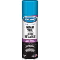 Brillant instantan&eacute; Pro Line pour surfaces en plastique, 11 oz, Canette a&eacute;rosol Consource