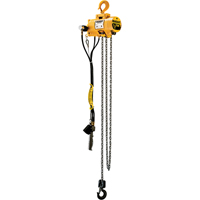 Budgit&reg; Air Chain Hoists Consource