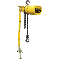 Budgit&reg; Series 6000 Air Hoists Consource
