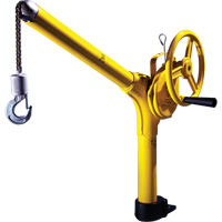 Standard Industrial Lifting Device, 500 lbs. (0.25 tons) Capacity Consource