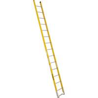 Single Section Straight Ladder - 6100 Series, 14', Fibreglass, 375 lbs., CSA Grade 1AA Consource