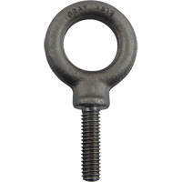 Boulon &agrave; oeil en acier alli&eacute;, 1" dia, 1-1/4" lo, 1480 lb (0,74 tonnes)/1480 lb capacit&eacute; Consource