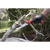 7” Folding Pruning Saw with ?Straight Blade Consource