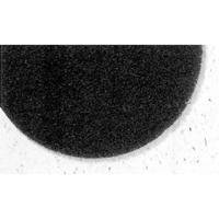 7300 Pro-Strip Pads, 17", Stripping, Black Consource