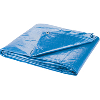 Tarp, Standard Duty, Blue, 7' x 5' x 4 mils Consource